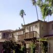 avenida_cresta